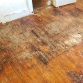 The Importance of Flooring Replacement After Water Damage