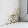 Removing Mold Growth: Tips for Home Water Damage Restoration