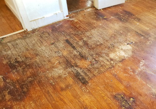 The Importance of Flooring Replacement After Water Damage