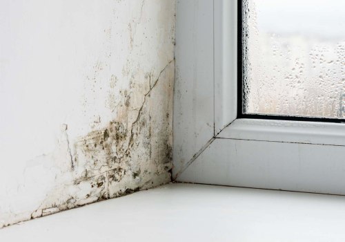 Removing Mold Growth: Tips for Home Water Damage Restoration